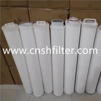 عنصر مرشح أمان محطة الطاقة SG-125 / 0.8